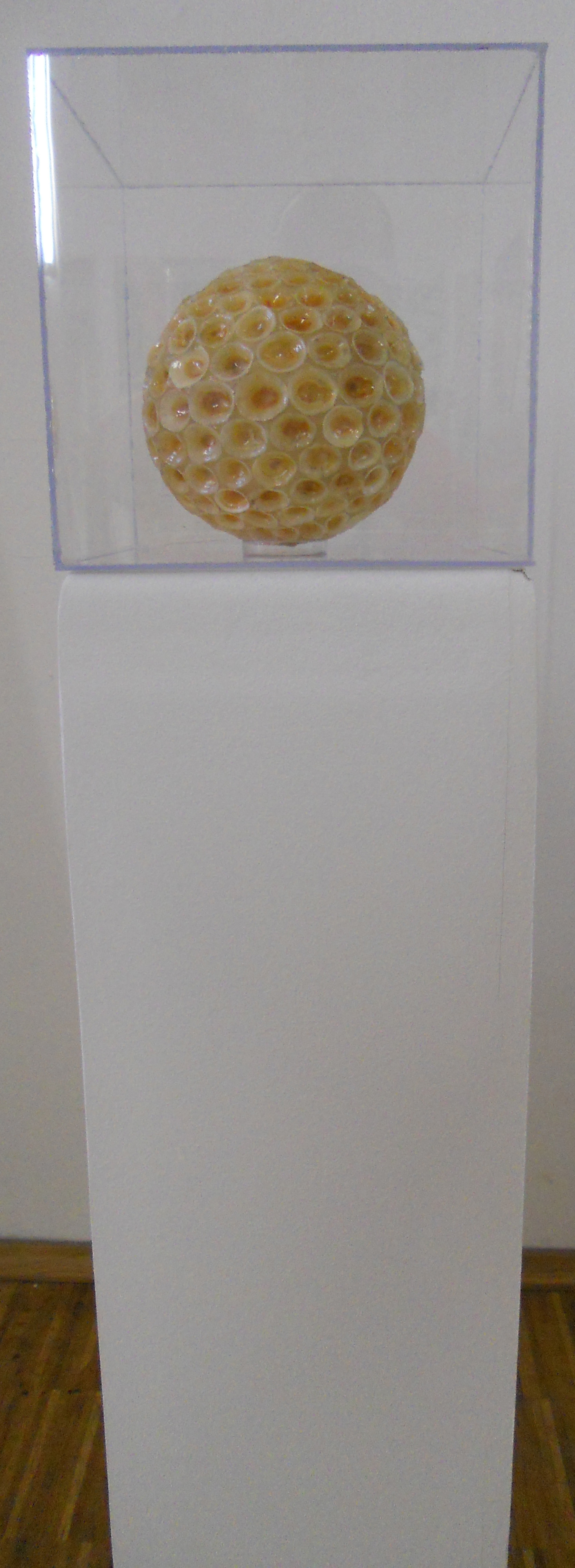 MW 20 (Hohe Aufl&ouml;sung)